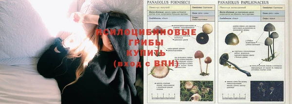 2c-b Аркадак