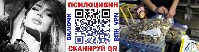 где продают Славгород Галлюциногенные грибы Cubensis