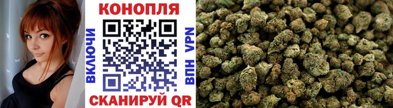 Бошки марихуана Amnesia  Славгород 